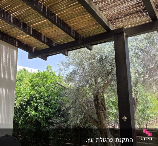 פרגולה מעץ בגינה עם דק ועצים ברקע